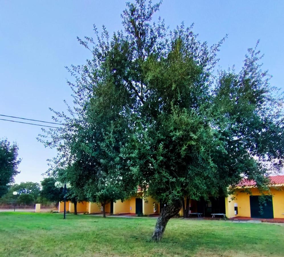 Nuraghe Ruiu & Vakantiehuis